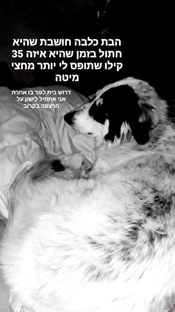 moonyyyya archive video preview