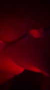 ormosheee Altpins Profile Picture