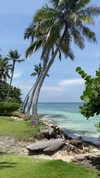 solzarubin_ Altpins Profile Picture