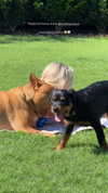 olivia.mathers Altpins Profile Picture