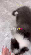 nagichan_doll Altpins Profile Picture