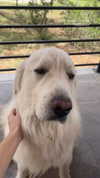 analuvillarreal Altpins Profile Picture