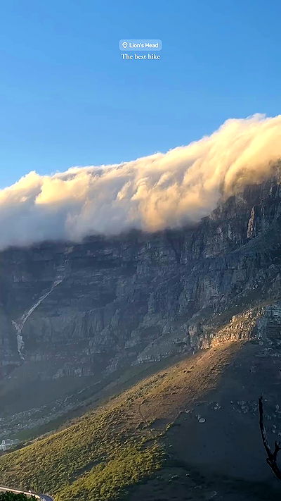 taylor.creeden taylor.creeden archive video