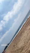nicole_ac Altpins Profile Picture