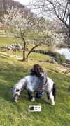 amatveyko Altpins Profile Picture