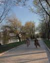 veroni22ka Altpins Profile Picture