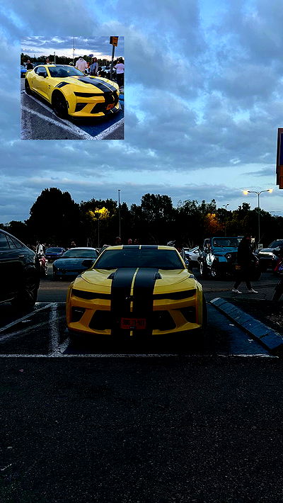 simp_for_cats_ simp_for_cats_ archive video