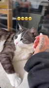 mishel116 Altpins Profile Picture