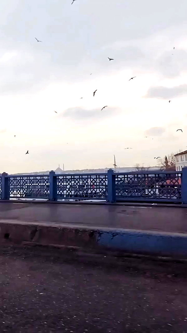 burcnaksu archive video preview