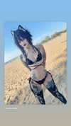 virtualkali Altpins Profile Picture