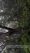 veroni22ka Altpins Profile Picture
