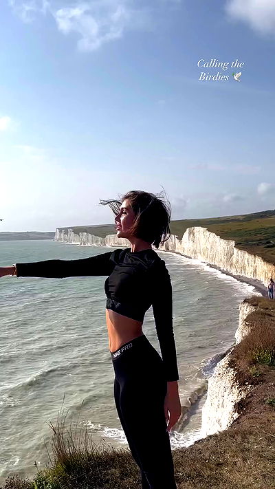 taylor.creeden taylor.creeden archive video