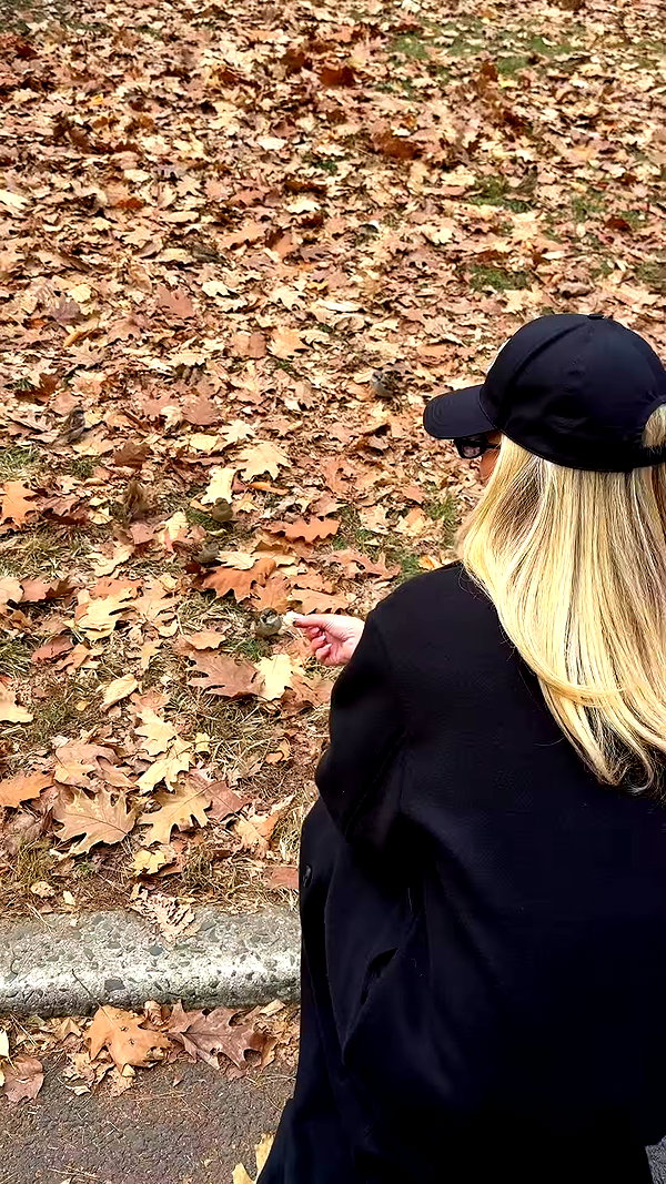 allieauton archive video preview