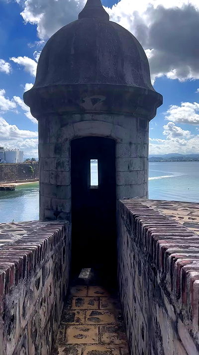 taylor.creeden taylor.creeden archive video