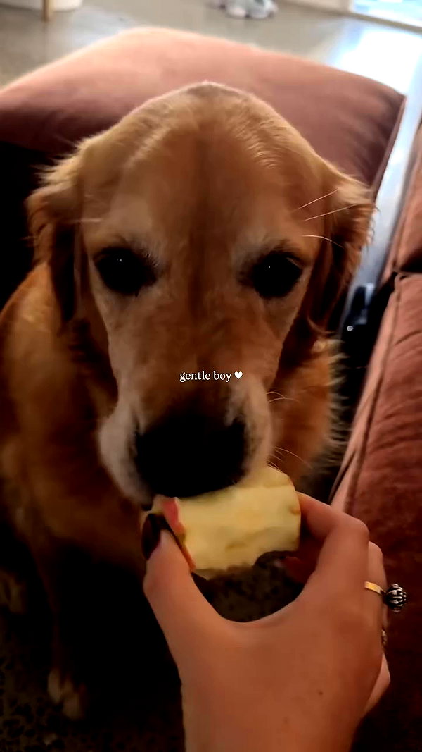 edenharper archive video preview