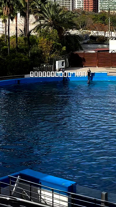 natalllluli natalllluli archive video