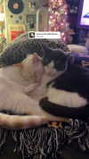 tatum.ricee Altpins Profile Picture