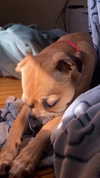 babynympho_archive Altpins Profile Picture
