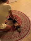 libby_reut Altpins Profile Picture