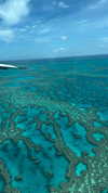 maori_cohen Altpins Profile Picture