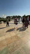 mishel_d_ Altpins Profile Picture