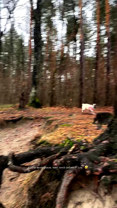 nyityam nyityam archive video