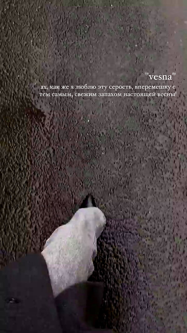 veroni22ka archive video preview