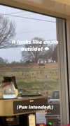 elizabethcampbelljones Altpins Profile Picture