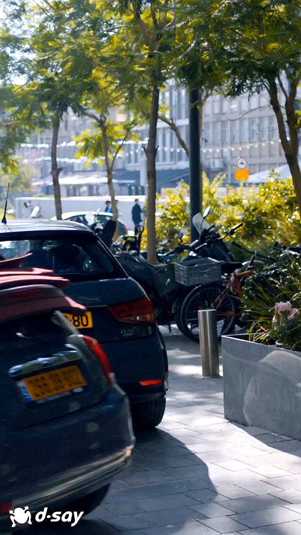 shahar__hauon archive video preview