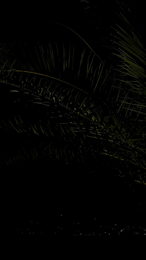 meiiisame archive video preview