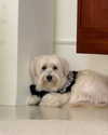 dear.zia Altpins Profile Picture