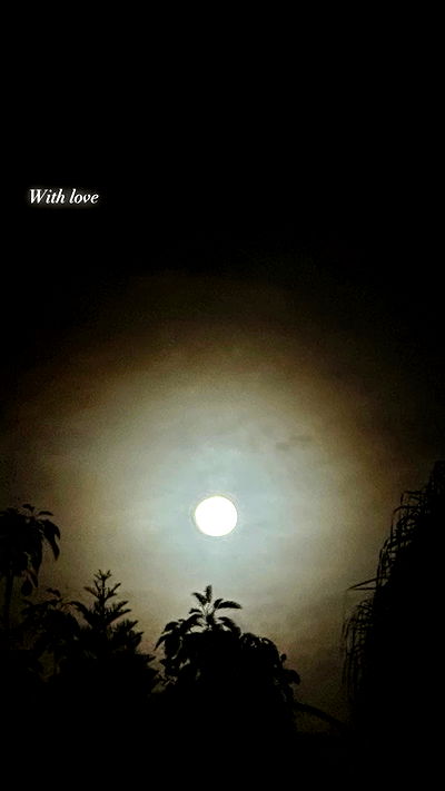 moonliliaght moonliliaght archive video