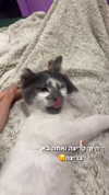 lera.genadenik Altpins Profile Picture