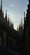 ruth_chavarri Altpins Profile Picture