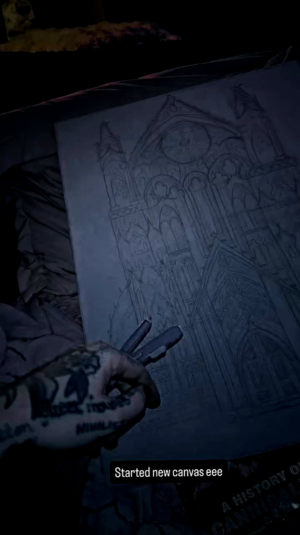 taxevasionkoala archive video preview