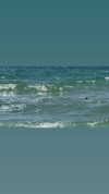 efrat_elmalich Altpins Profile Picture