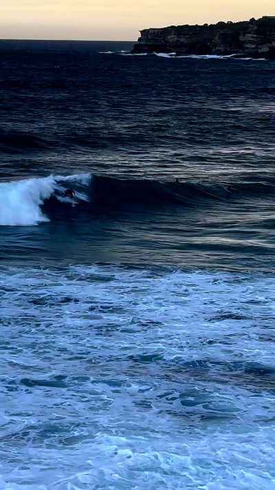 taylor.creeden taylor.creeden archive video