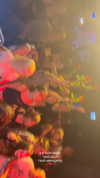 orman.mariee Altpins Profile Picture