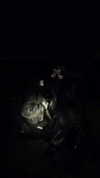 danafetishistova Altpins Profile Picture