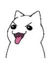 alisawaifu Altpins Profile Picture