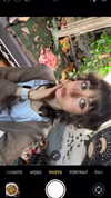 f4iryybl00d Altpins Profile Picture