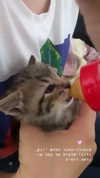 evasela__ Altpins Profile Picture