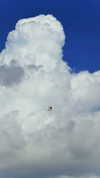 noa_mendel_ Altpins Profile Picture