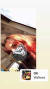 dante_yangpa Altpins Profile Picture