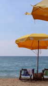 valeria_lukin Altpins Profile Picture