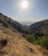 mishel_d_ Altpins Profile Picture