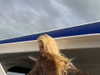 alisen.mari Altpins Profile Picture