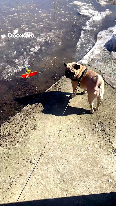 nyityam nyityam archive video