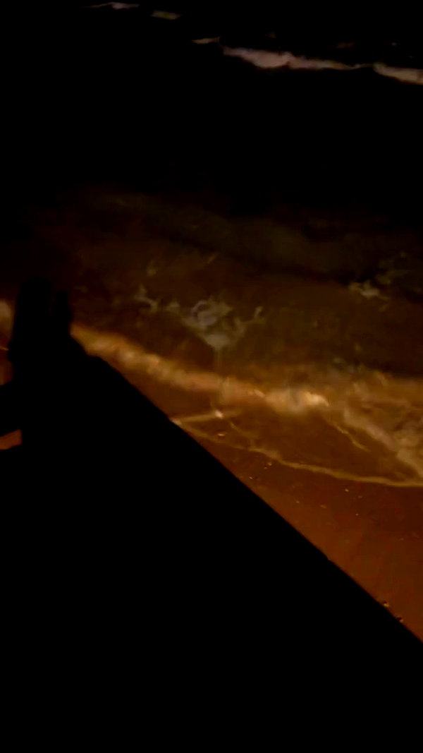 _allvi.pansk archive video preview