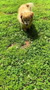 elizabethcampbelljones Altpins Profile Picture